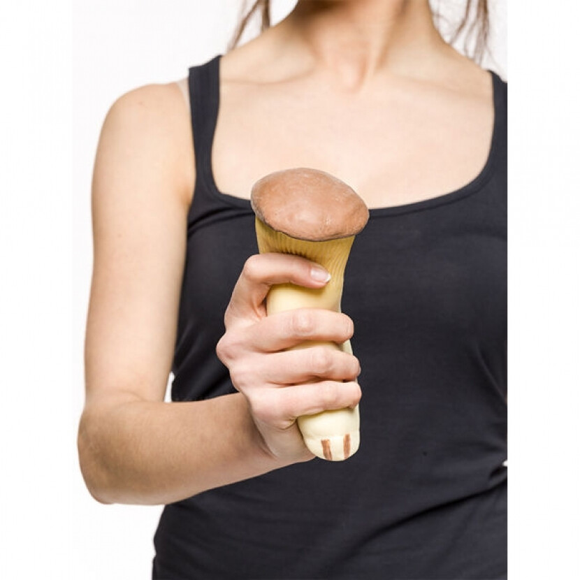 Antistresový hríb Hliva máčková - béžový