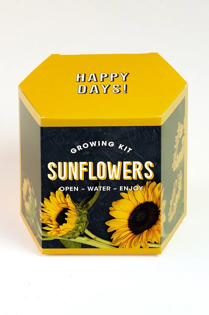 Sada na pestovanie rastlín RESETEA Sunflower Growing Kit 9,8 x 8,8 x 8,8 cm viac farieb