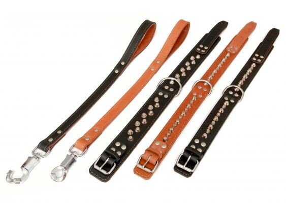 HP product for Happy Pets HP obojok MOLOSS kužele 2R 70cm cierna