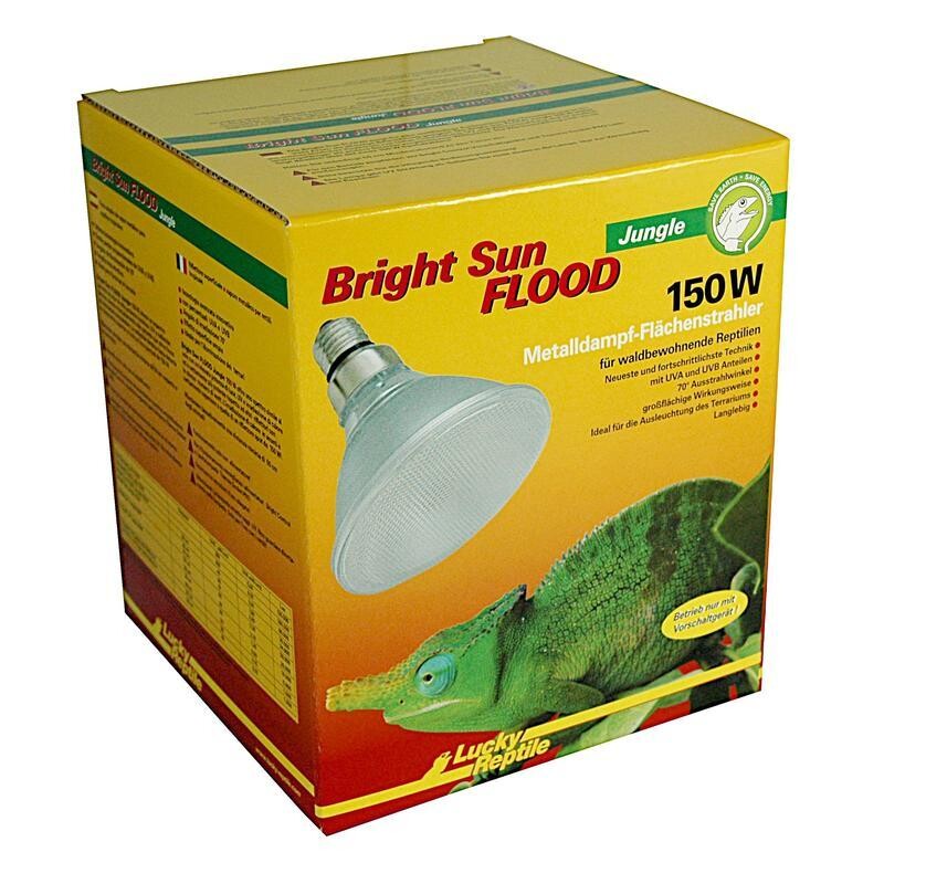 Lucky Reptile Bright Sun FLOOD Jungle