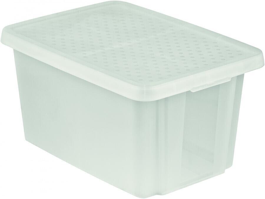 CURVER Essentials Úložný box s víkem Průsvitná