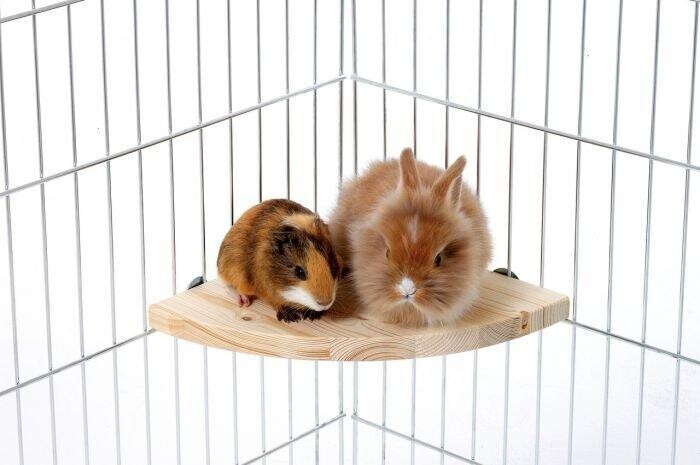 Karlie Dřevěné patro/sedátko do klece pro hlodavce, 22x22x1,8cm