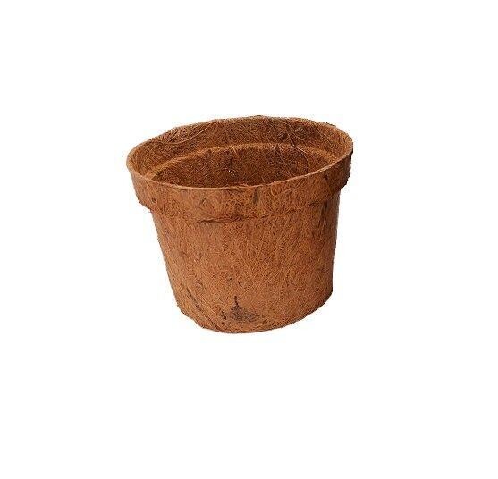 Lucky Reptile Coco Planter Malý