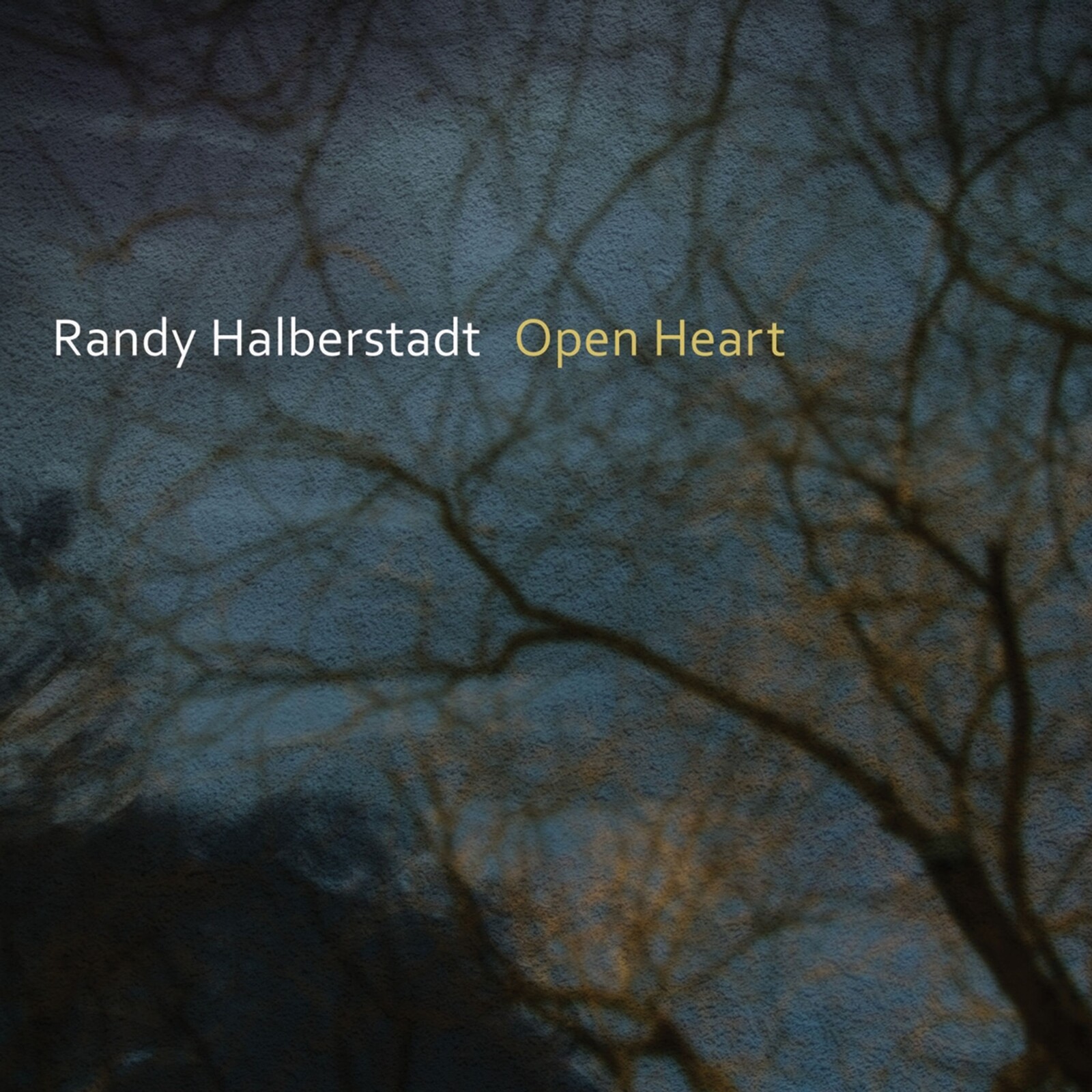 Randy Halberstadt, OPEN HEART, CD