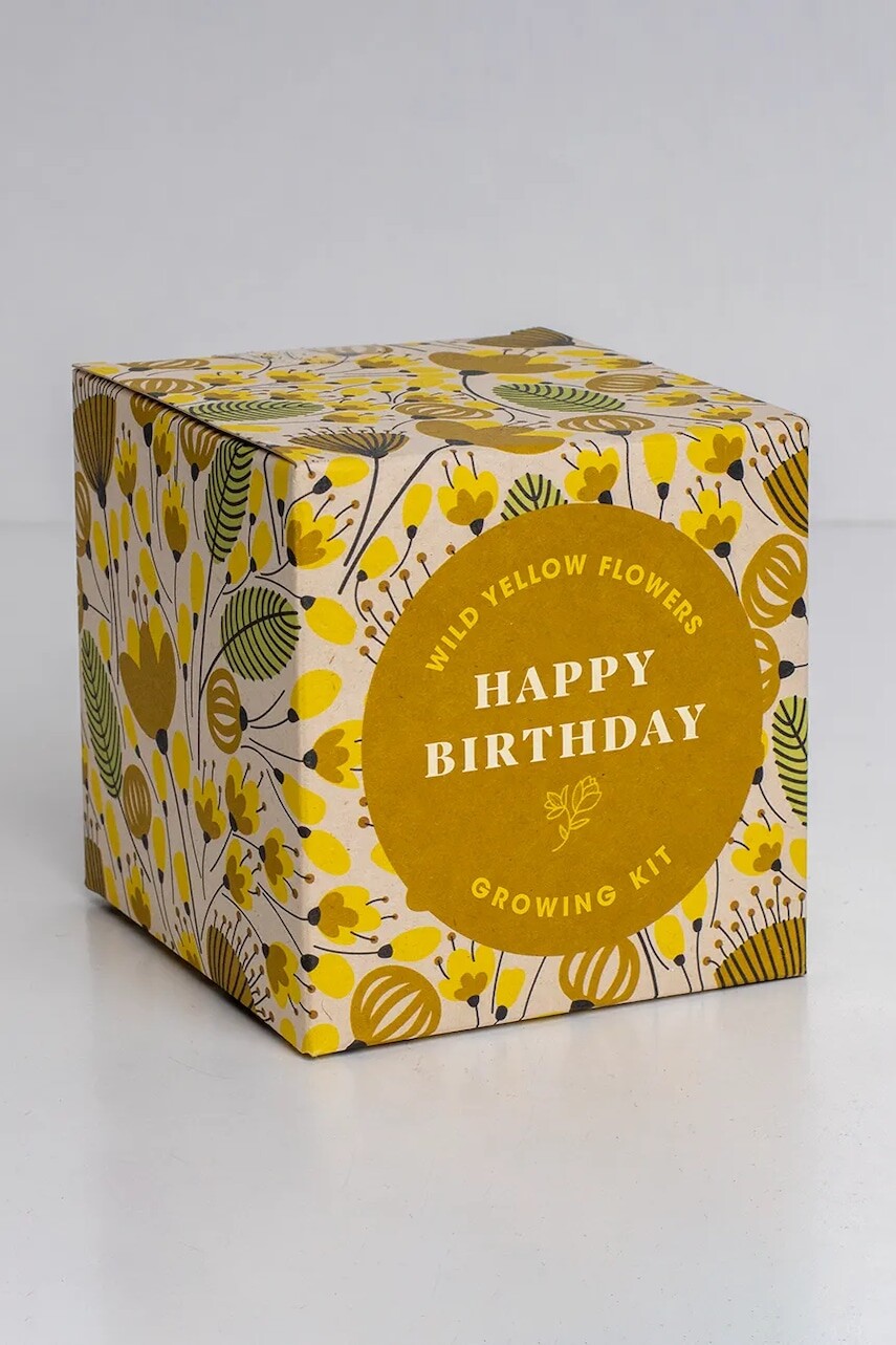 Sada na pestovanie kvetov RESETEA Say it with Flowers Growing Kit 8,8 x 8,8 x 8,8 cm viac farieb