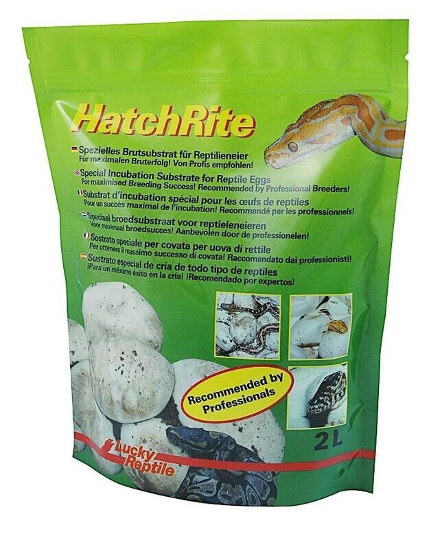 Lucky Reptile HatchRite 2L