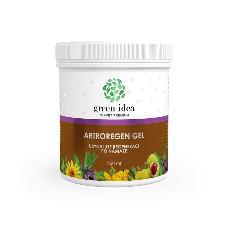 Green idea idea Artroregen masážny gél 250 ml