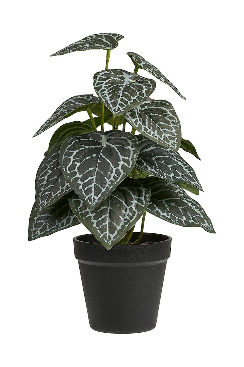 Umelá rastlina v kvetináči House Nordic 33 cm zelená farba