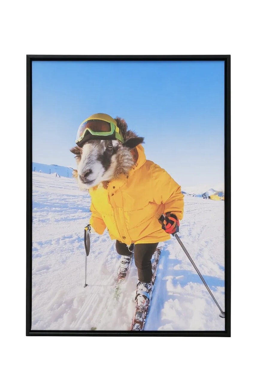 Nástenná dekorácia v ráme Boltze Skian 40 x 55 cm viac farieb