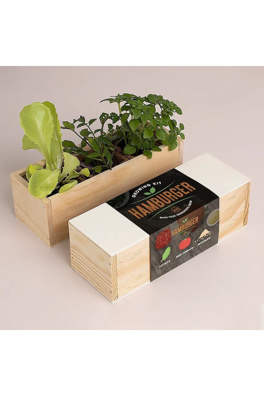 Sada na pestovanie rastlín RESETEA Hamburger Growing Kit 21 x 7,8 x 6,5 cm viac farieb