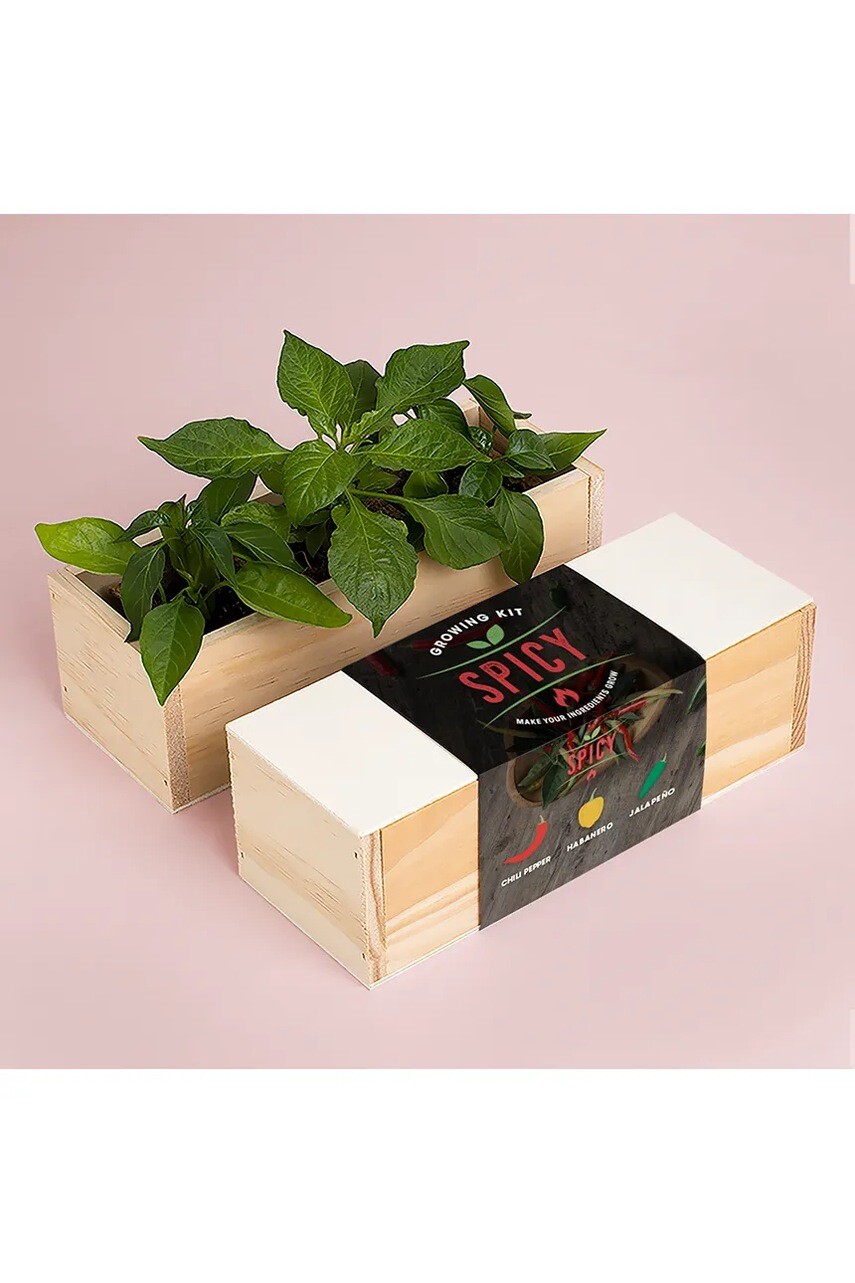 Sada na pestovanie rastlín RESETEA Spicy Growing Kit 21 x 7,8 x 6,5 cm viac farieb