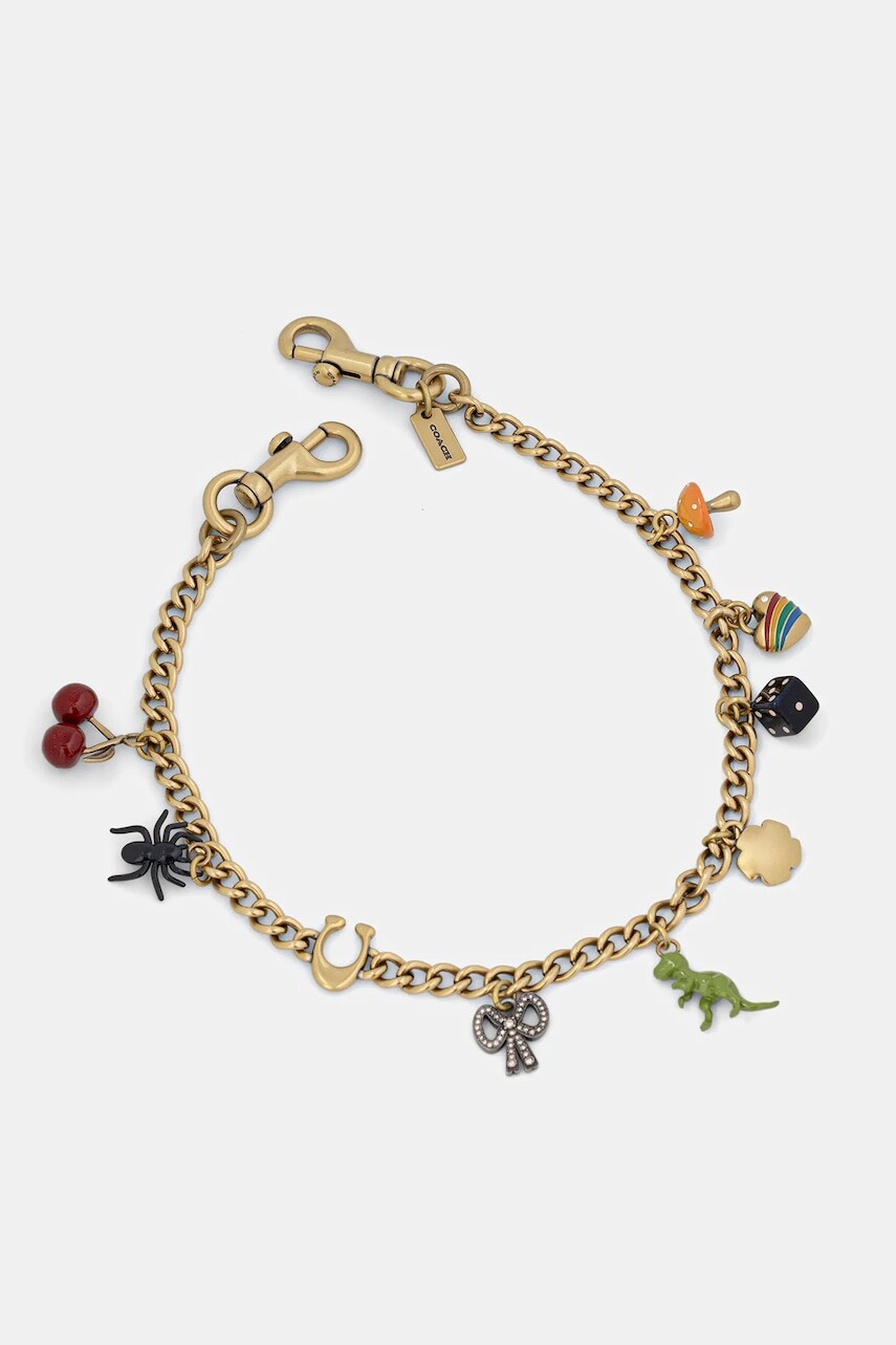 Retiazka na tašku Coach CCD30