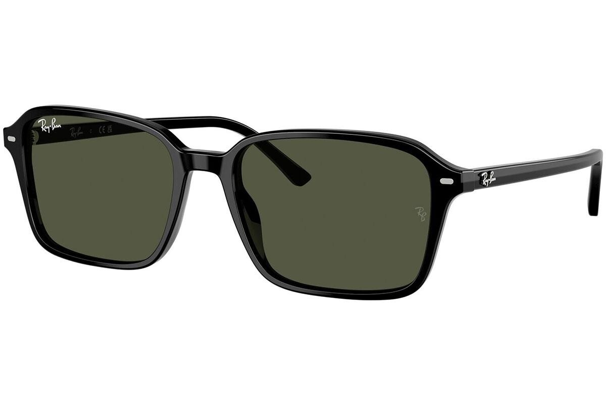 Ray-Ban Raimond RB2231 901/31 - M (56)