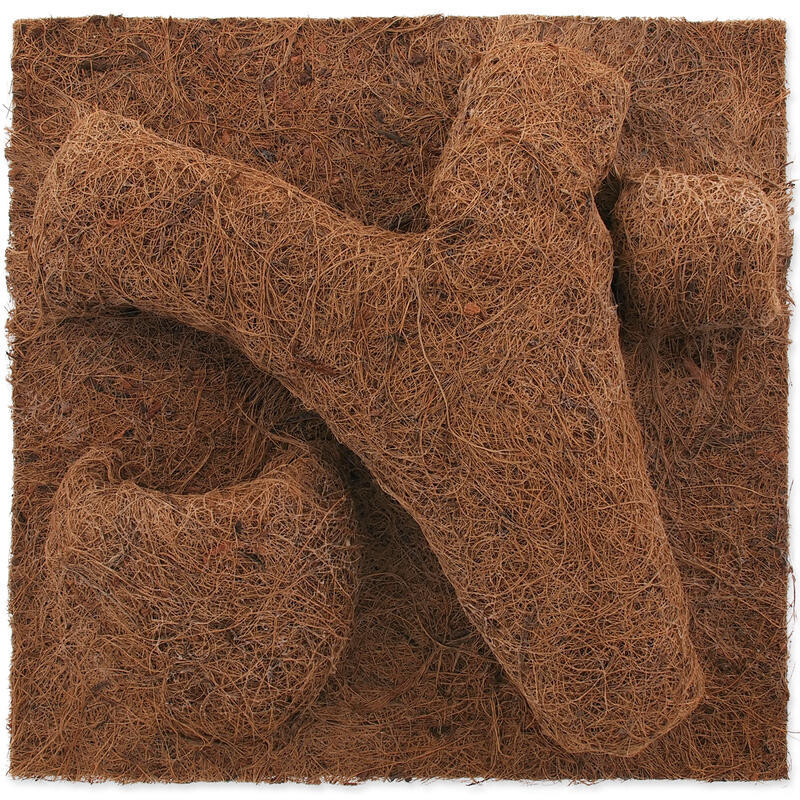 Pozadí REPTI PLANET Coco Planter