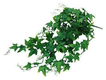 Lucky Reptile Jungle Plants Ivy Bush cca 50 cm