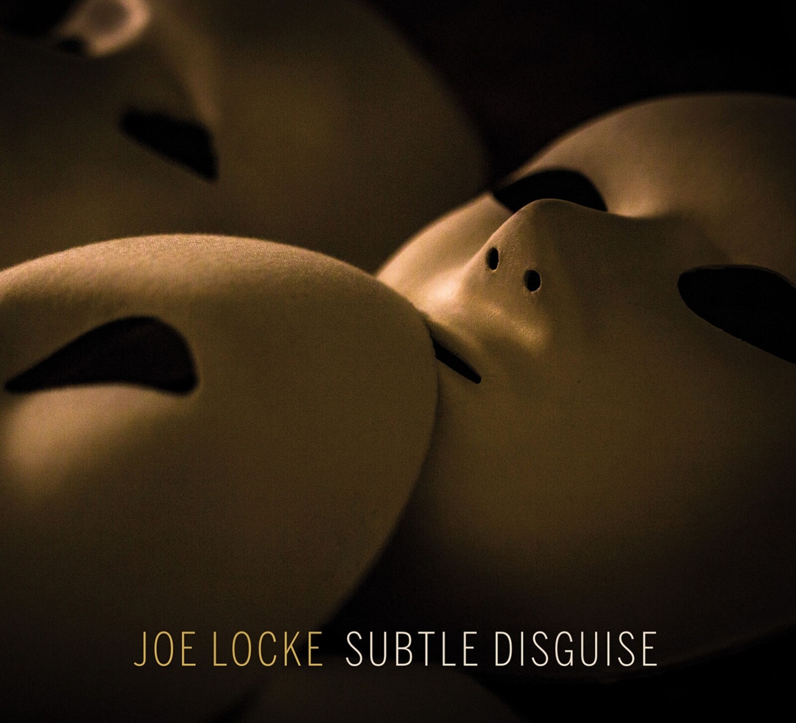 Joe Locke, SUBTLE DISGUISE, CD