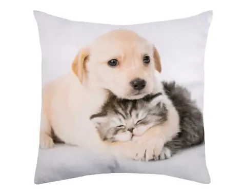 Dekoračný vankúšik Psík s mačičkou, 25x25 cm%