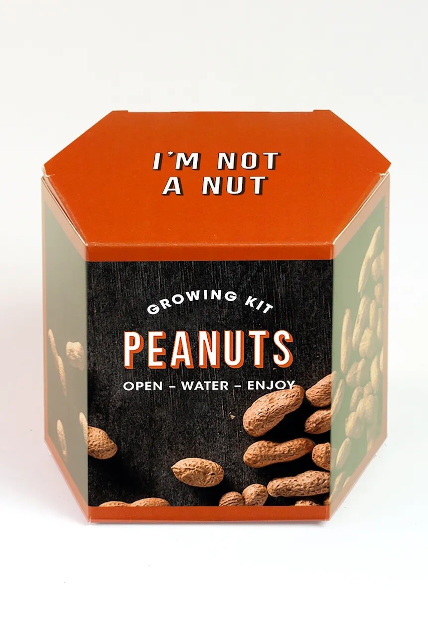 Sada na pestovanie rastlín RESETEA Peanuts Growing Kit 9,8 x 8,8 x 8,8 cm viac farieb