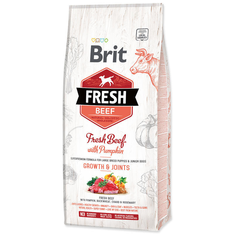 BRIT Fresh Beef with Pumpkin Puppy Large