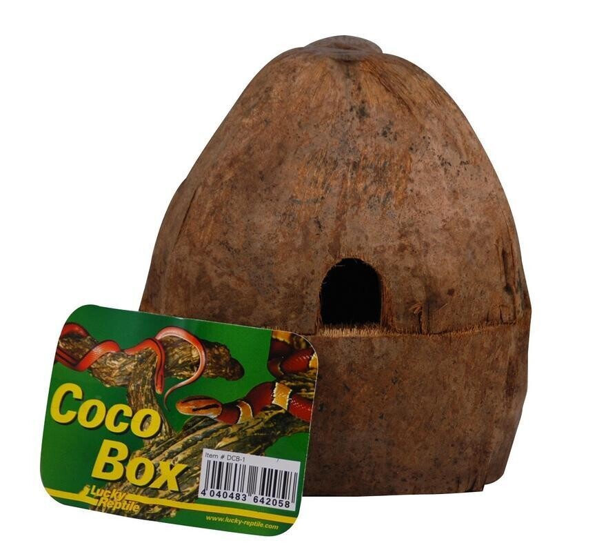 Lucky Reptile Coco Box