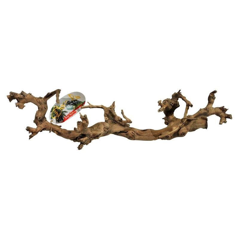 Lucky Reptile Grapevine S 35-45 cm