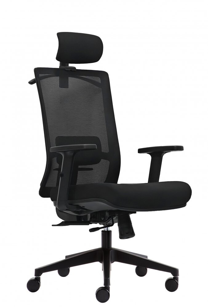 Kancelárska ergonomická stolička Office More DVIS — viac farieb Čierna