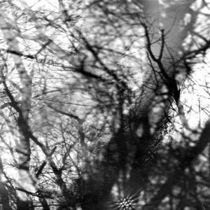 Grouper, WAY THEIR CREPT, CD