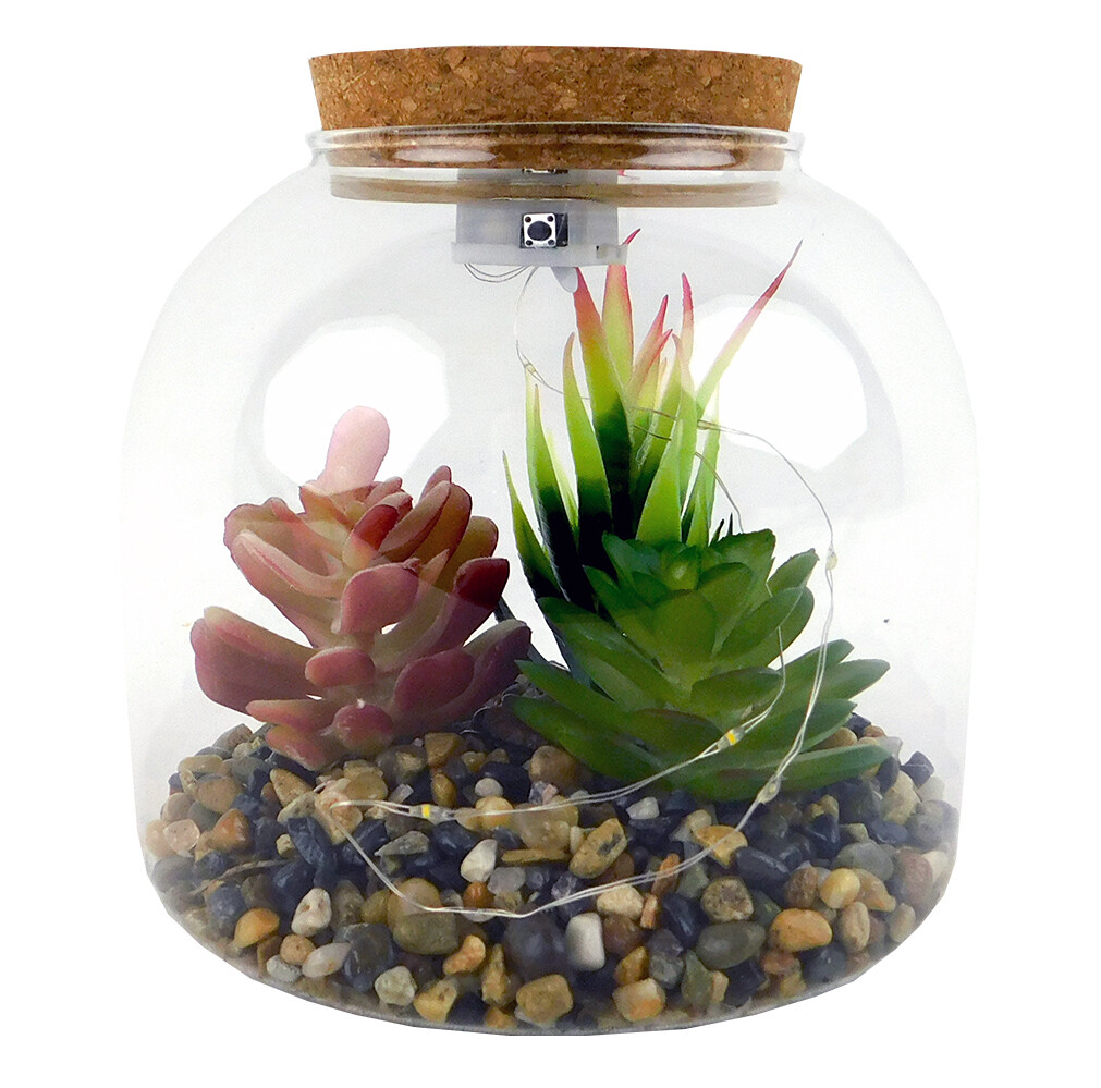 MAKRO - Sukulent v skle s LED, 15x15x15cm