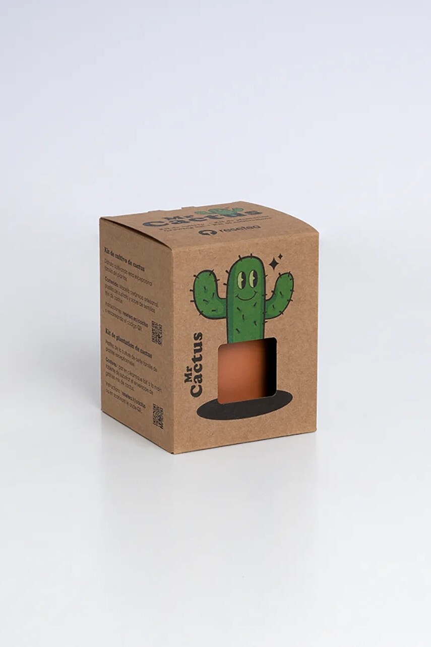 Sada na pestovanie rastlín RESETEA Mr Cactus 8,5 x 10,7 x 8,5 cm viac farieb