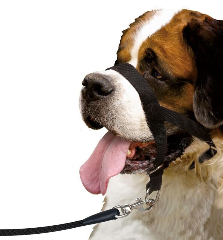 Náhubek jednoduchý černý