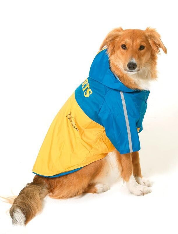 Pláštěnka pro psy 2v1 s odnímatelnou kapucí