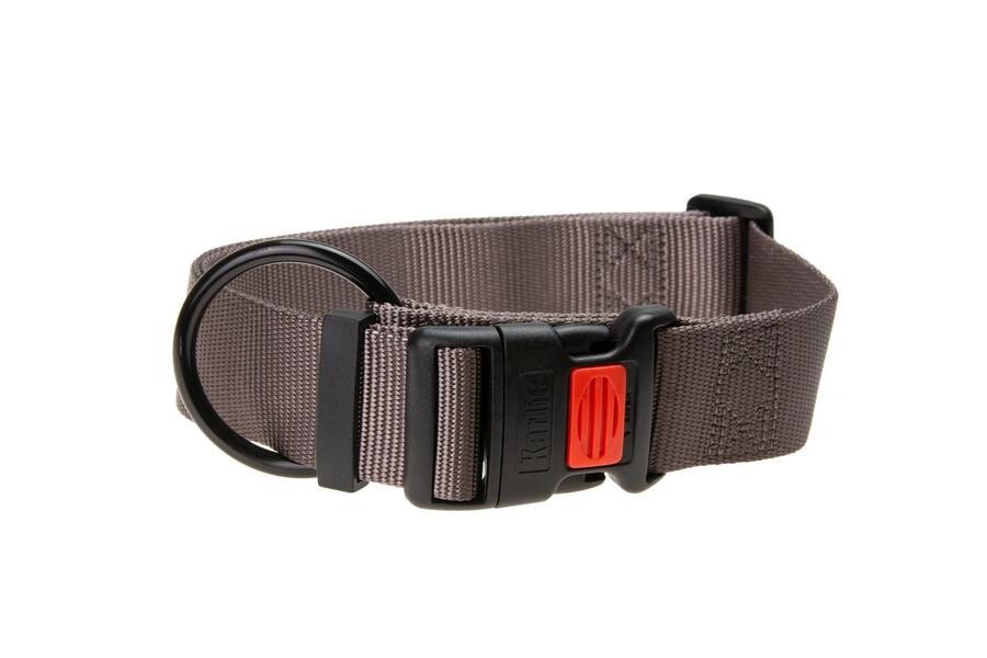 Obojek ASP šedý velikos XL