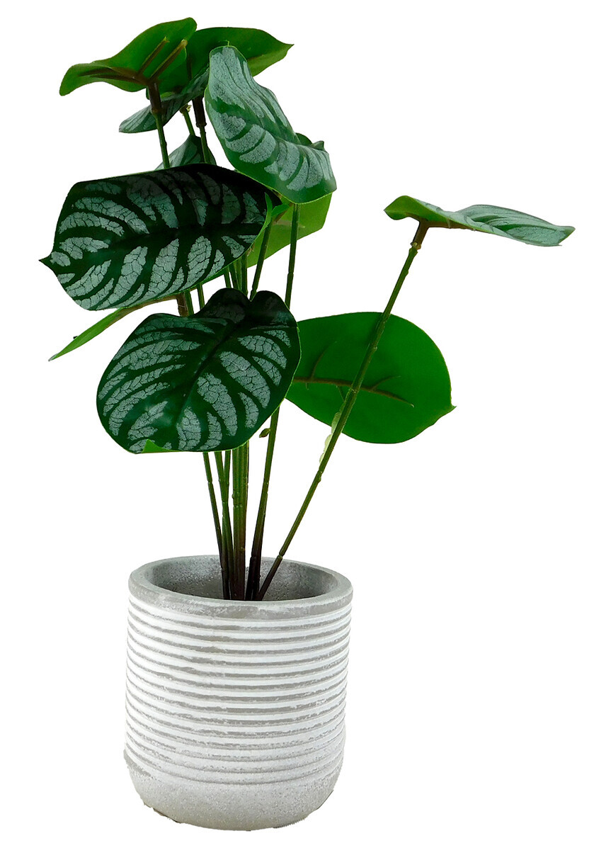 MAKRO - Kvet umelý v kochlíku 7x27cm, listy