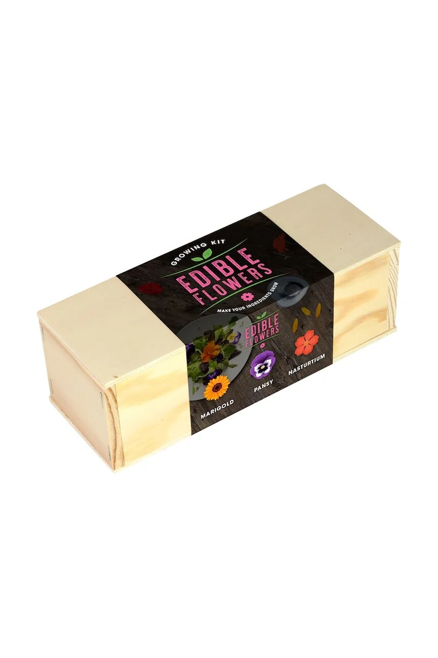 Sada na pestovanie rastlín RESETEA Edible Flowers Growing Kit 21 x 7,8 x 6,5 cm viac farieb