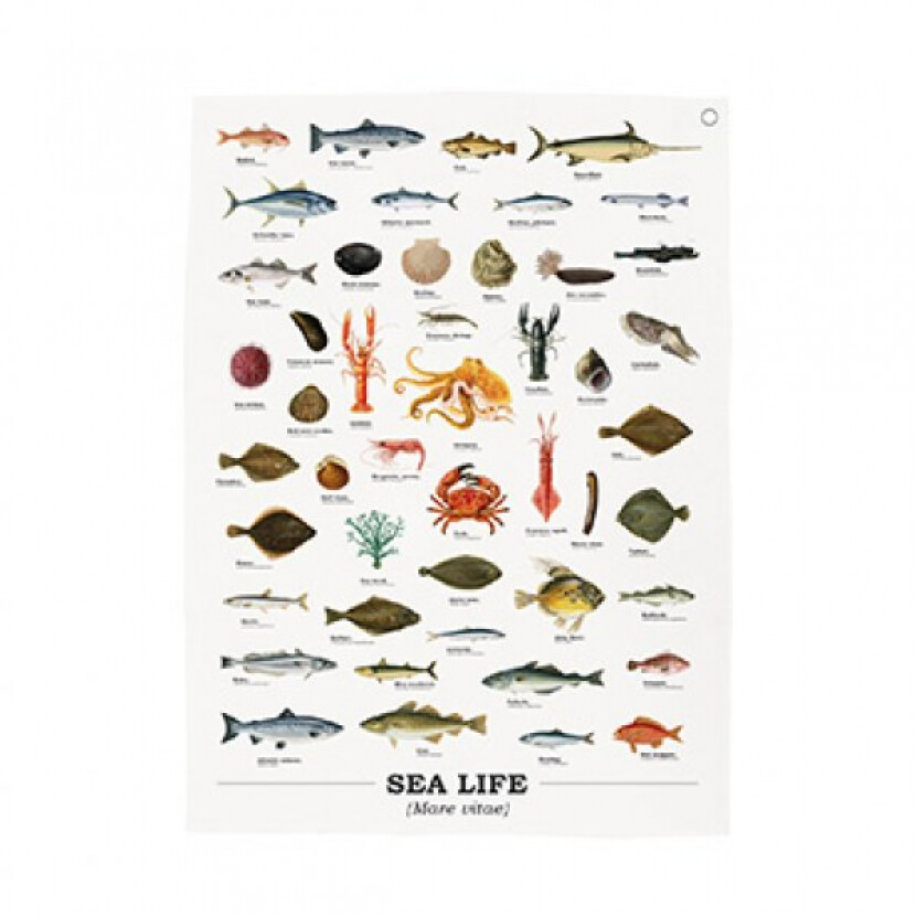 Utierka Morský svet - biela