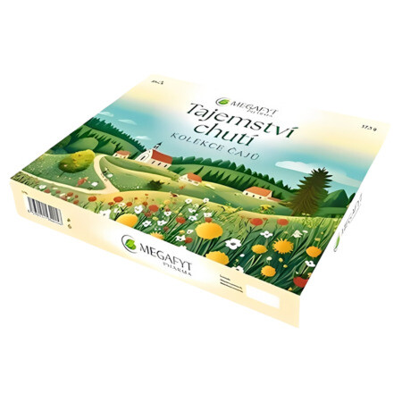 MEGAFYT Kazeta tajomstvo chutí kolekcia čajových zmesí 30 ks