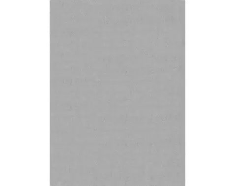 Koberec Cozy 80x150 cm, šedý%