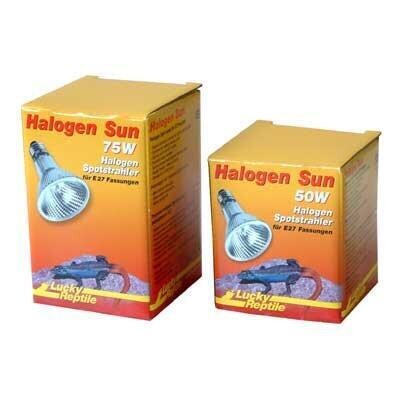 Lucky Reptile Halogen Sun 50w