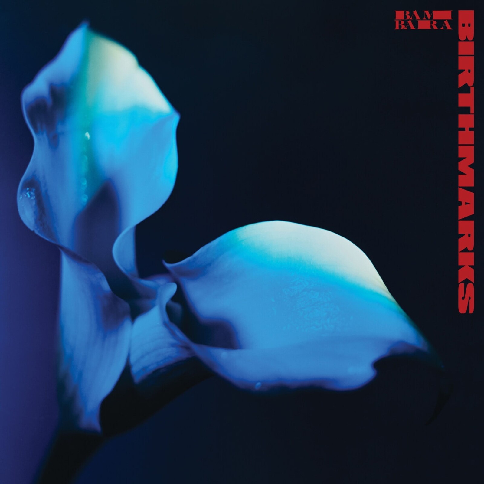 Bambara, BIRTHMARKS, CD