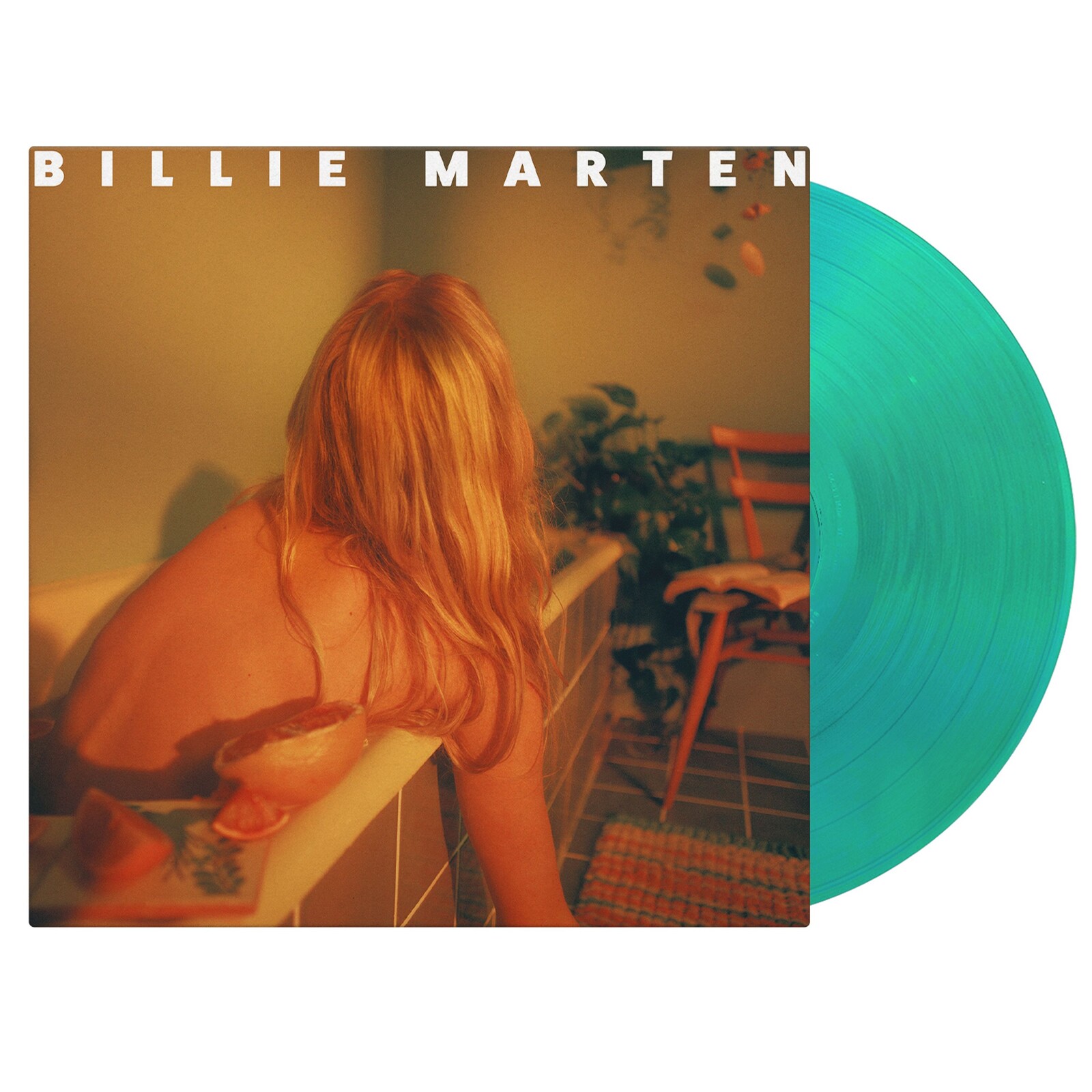 Feeding Seahorses By Hand