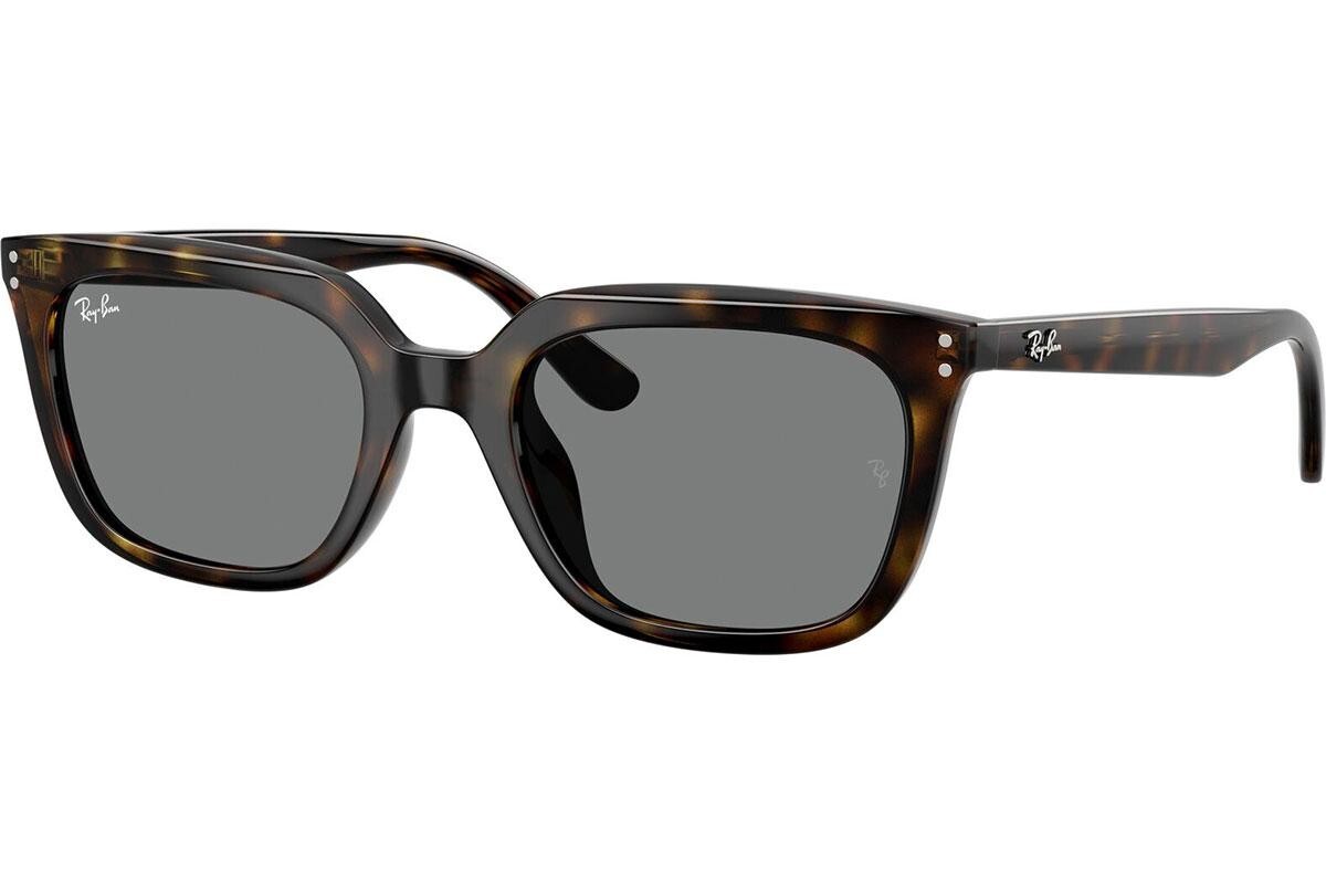 Ray-Ban RB4439D 710/87 - ONE SIZE (54)