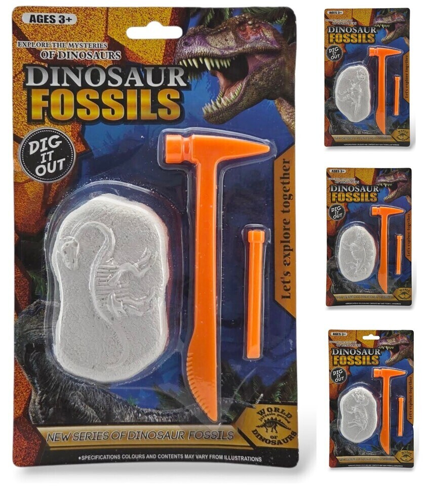 Fosília dinosaurus 9x6cm