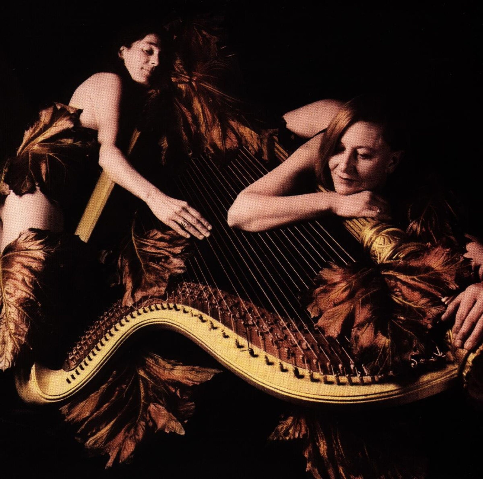 Ring, SOUL TO THE PLEASURE, CD