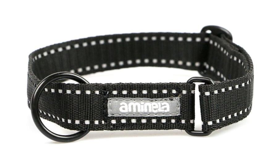 Aminela klasik obojek nepodšitý Sport & City malá plemena černá 25-40cm/16mm