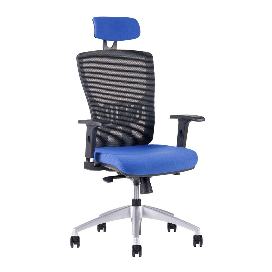 Kancelárska ergonomická stolička HALIA MESH SP – s podhlavníkom, viac farieb Modrá 2621