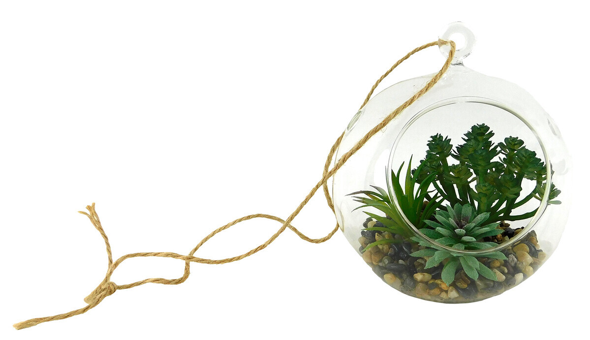 MAKRO - Sukulent v skle 15x17cm