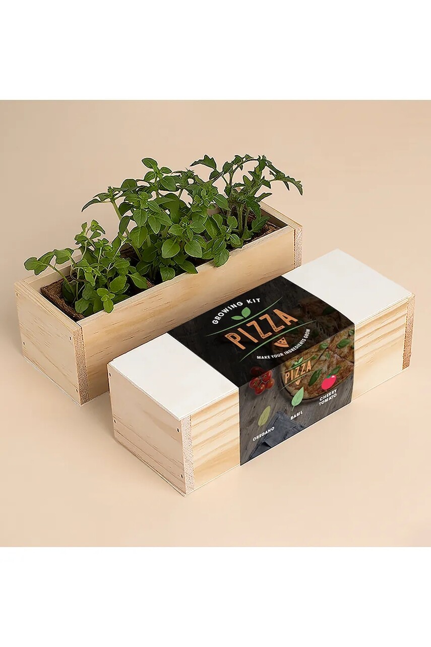 Sada na pestovanie rastlín RESETEA Pizza Growing Kit 21 x 7,8 x 6,5 cm viac farieb