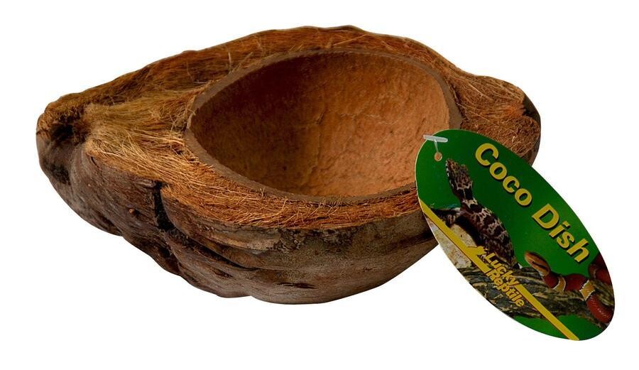 Lucky Reptile Coco Dish
