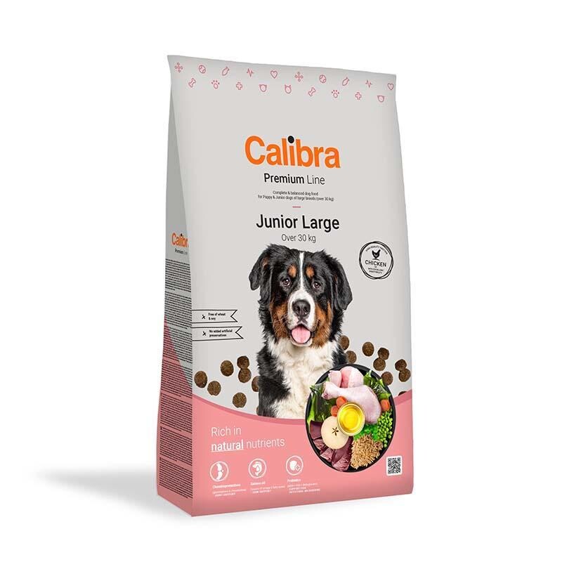Calibra Dog Premium Line Junior Large