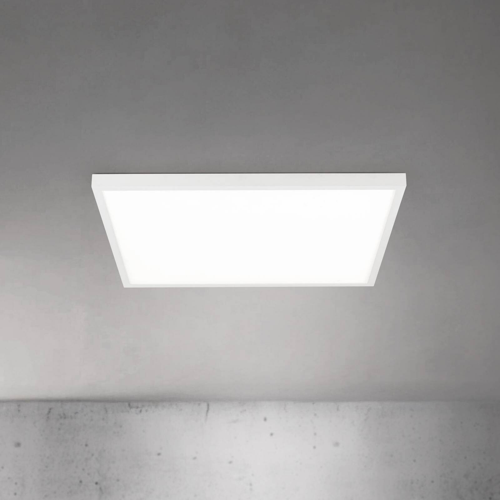 stropné LED svetlo Disc, biele, dĺžka 60 cm, CCT, kov